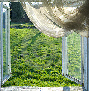 caroline-howell-window-fresh-air-blog