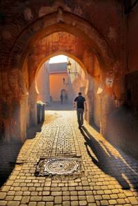 11113930_840321189367372_7000292416324159563_n